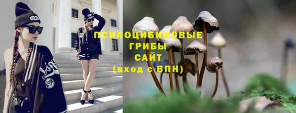 герыч Горнозаводск