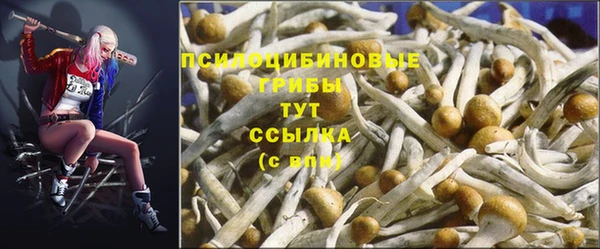прущая мука Алзамай