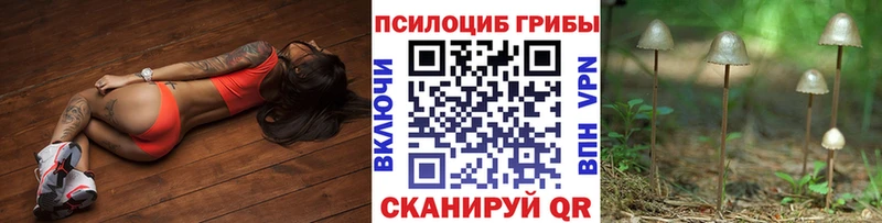 ссылка на мегу ONION  Почеп  Галлюциногенные грибы MAGIC MUSHROOMS 