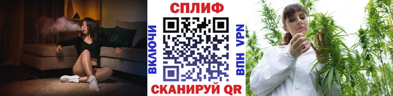 купить  цена  Почеп  Каннабис планчик 